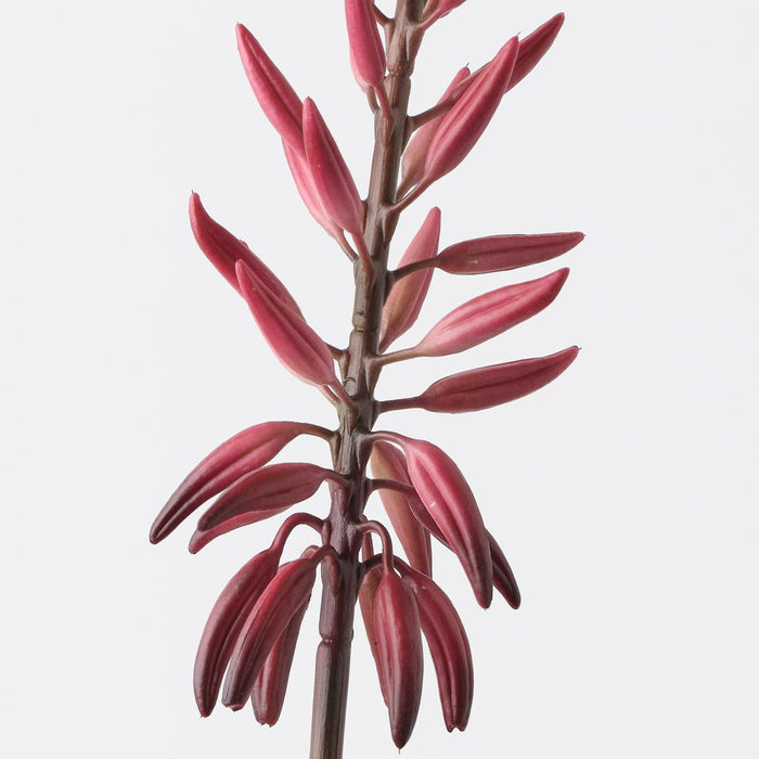Agave Flowering Spray Red Green 81cm Pack of 12