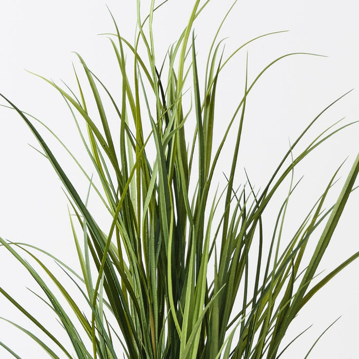 Grass Reed Plant Green 120cm Pack of 2