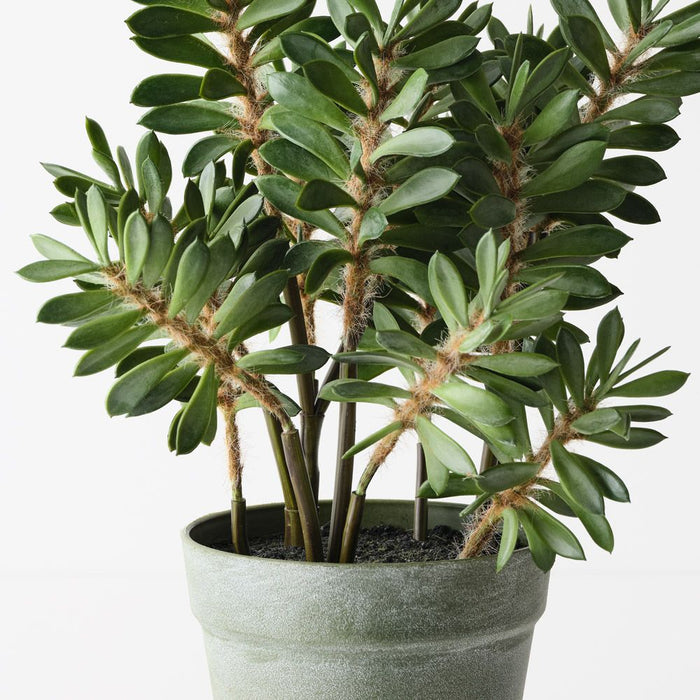 Alhagi Plant Green 40cm Pack of 2