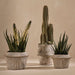 Pot Catullo Sand Wash 16cm x 23cm Pack of 2