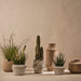 Pot Catullo Sand Wash 20cm x 28cm Pack of 2