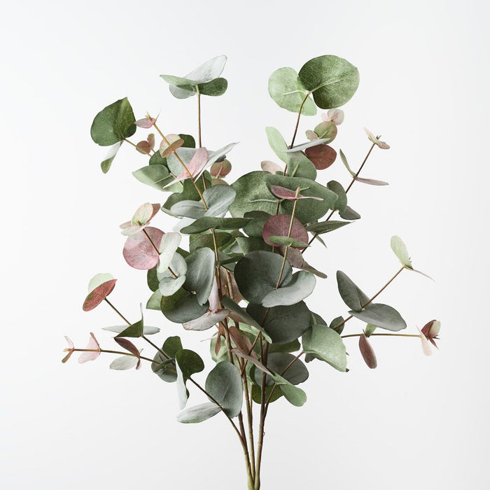 Eucalyptus Silver Dollar Bush Grey Red 55cm Pack of 6