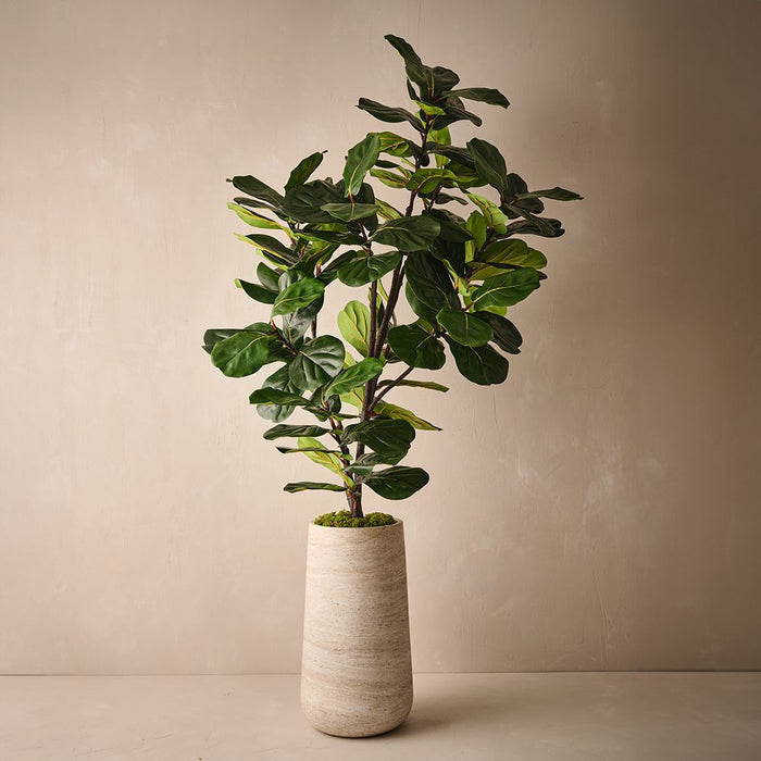 Fiddle Leaf Tree Green 210cm