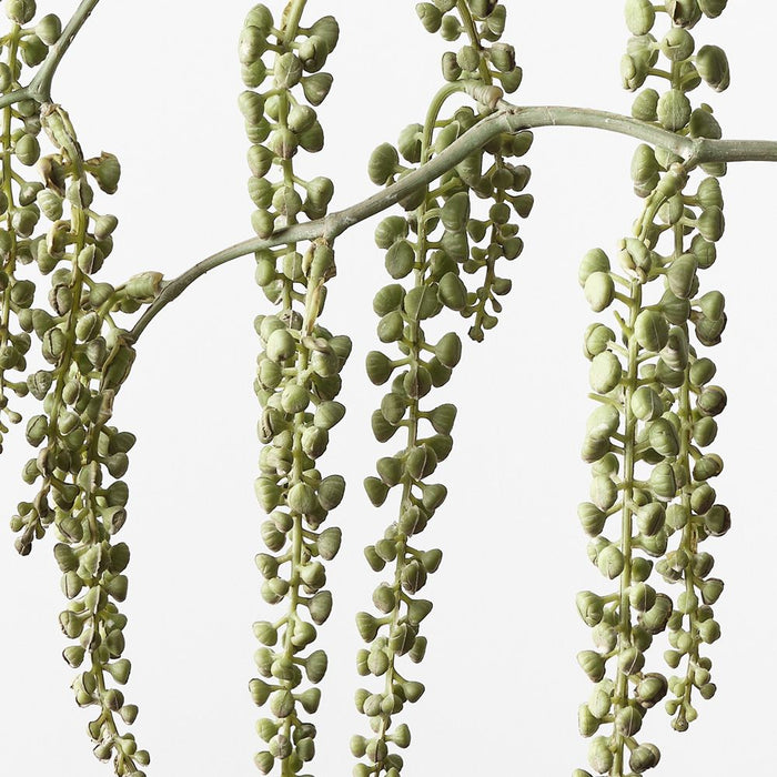 Pokeberry Spray Grey Green 82cm Pack of 12