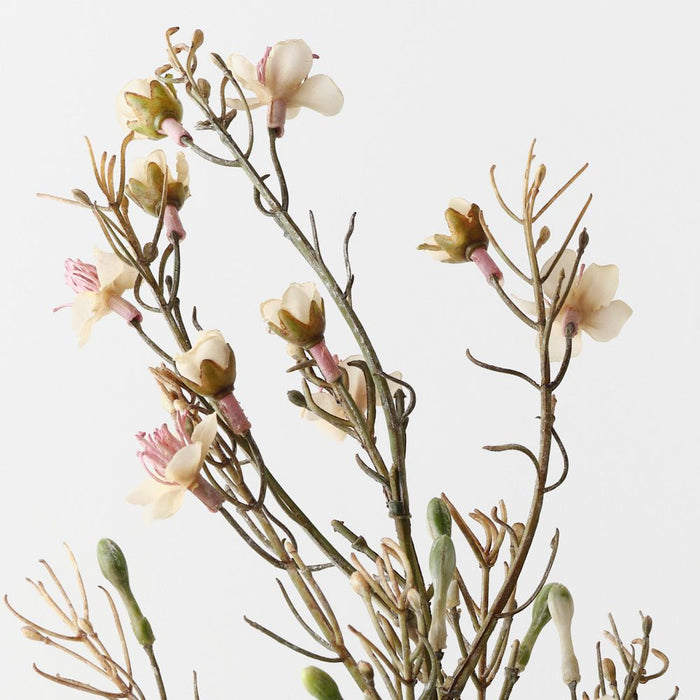 Wax Flower Champagne 85cm Pack of 12