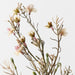 Wax Flower Champagne 85cm Pack of 12