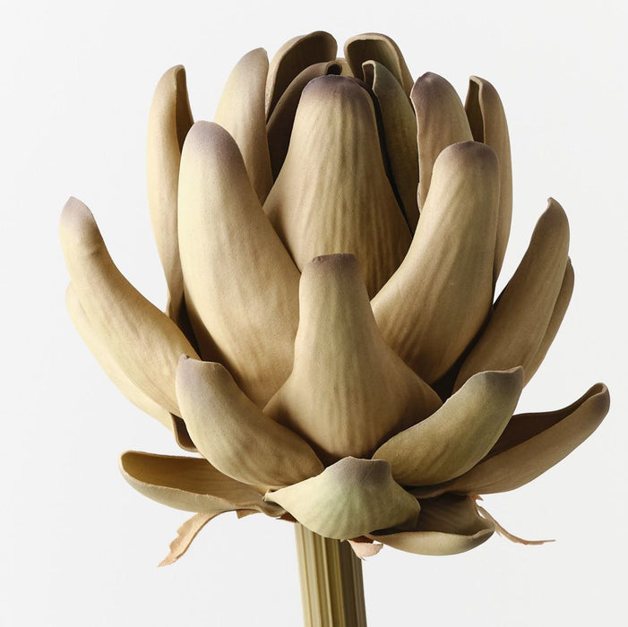Artichoke Stem Green Brown 56cm Pack of 12