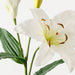 Lily Casablanca White 78cm Pack of 12