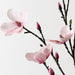 Magnolia Japanese Spray Pink 155cm Pack of 4