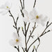 Magnolia Japanese Spray White 155cm Pack of 4