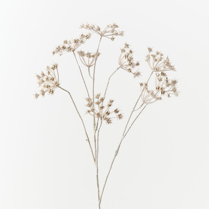 Wild Chervil Spray 76cm Sand Wash - Pack of 12