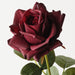 Rose Bettina Black Plum 68cm Pack of 12