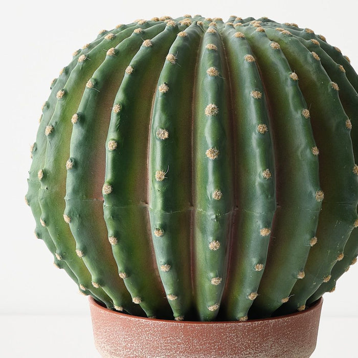 Cactus Barrel Plant Green 33cm