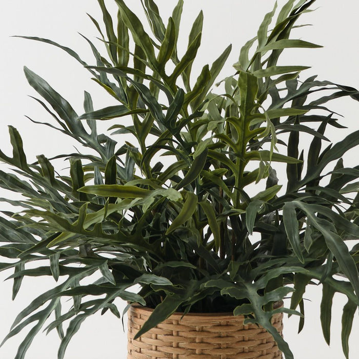 Fern Snake Leaf Plant Grey Green 76cm