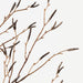 Birch Berry Spray Brown 100cm Pack of 12