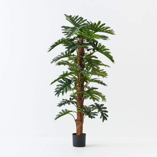 Artificial Philodendron Selloum Plant On Pole 150cm - FLORA DESIGNS