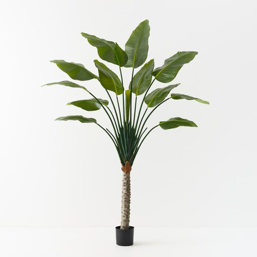 Palm Traveller 210cm Green