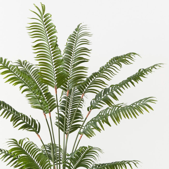 Palm Areca Green 150cm