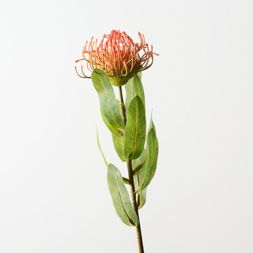 Artificial Protea Leucospermum 47cm Rust - Pack of 12 - FLORA DESIGNS