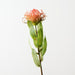 Artificial Protea Leucospermum 47cm Rust - Pack of 12 - FLORA DESIGNS