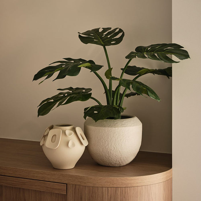Takumi Pot 25cm Vanilla - Pack of 6 - FLORA DESIGNS