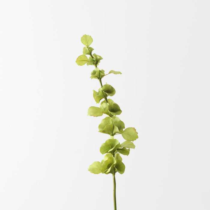 Artificial Bell of Ireland 74cm Green - Pack of 12 - FLORA DESIGNS