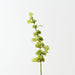 Artificial Bell of Ireland 74cm Green - Pack of 12 - FLORA DESIGNS