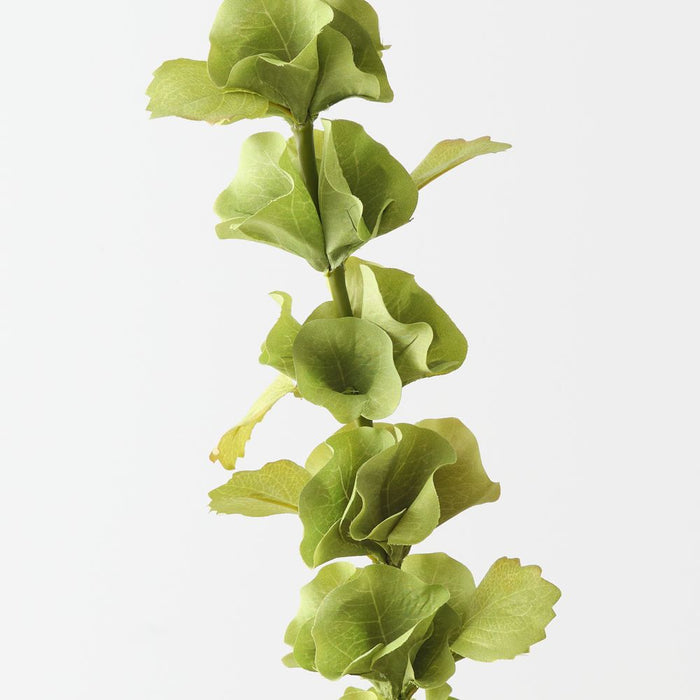Artificial Bell of Ireland 96cm Green - Pack of 12 - FLORA DESIGNS
