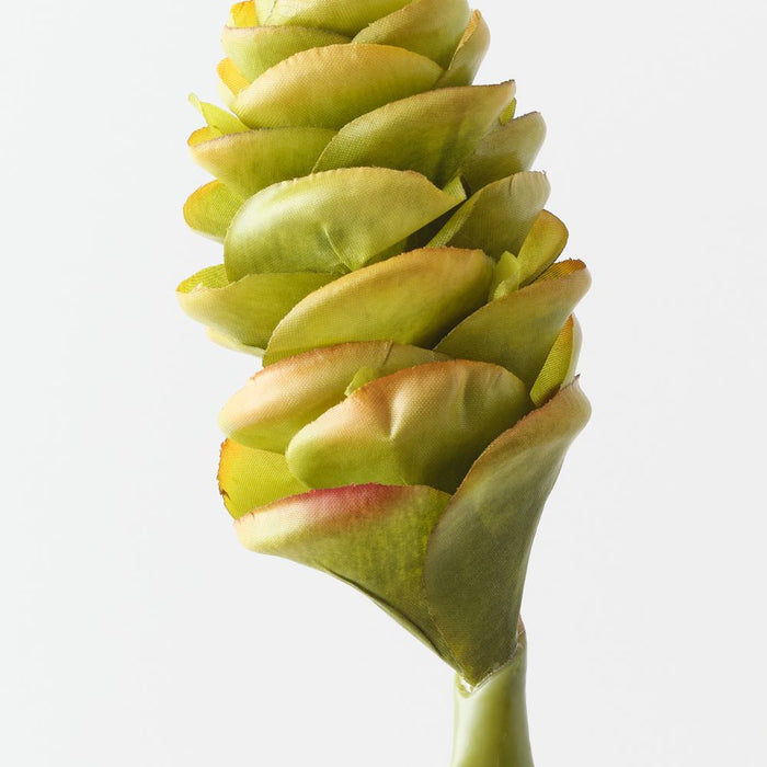 Artificial Beehive Ginger 61cm Green Eggplant - Pack of 12 - FLORA DESIGNS