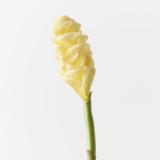 Artificial Beehive Ginger 61cm Cream - Pack of 12 - FLORA DESIGNS