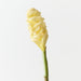 Artificial Beehive Ginger 61cm Cream - Pack of 12 - FLORA DESIGNS
