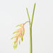 Artificial Heliconia Hanging 90cm Cream - Pack of 6 - FLORA DESIGNS