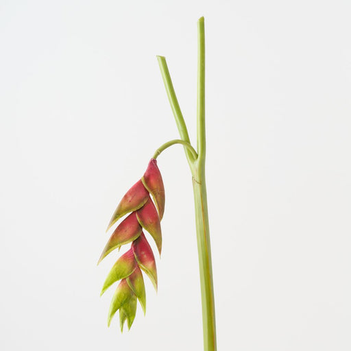 Artificial Heliconia Hanging 90cm Green Eggplant - Pack of 6 - FLORA DESIGNS