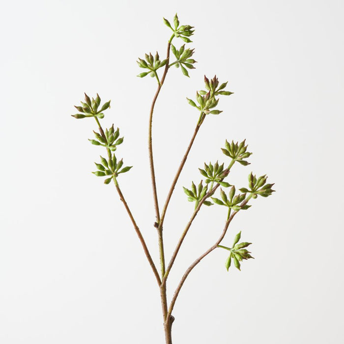 Artificial Eucalyptus Seed Spray 83cm Green - Pack of 12 - FLORA DESIGNS