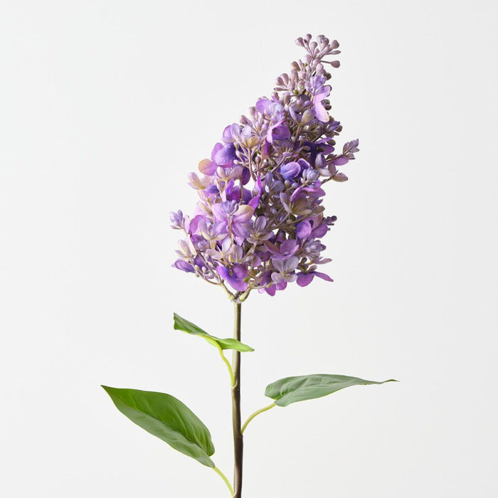 Artificial Lilac Spray 61cm Purple - Pack of 12 - FLORA DESIGNS