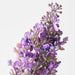 Artificial Lilac Spray 61cm Purple - Pack of 12 - FLORA DESIGNS