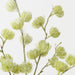 Artificial Thistle Spray 102cm Green - Pack of 12 - FLORA DESIGNS
