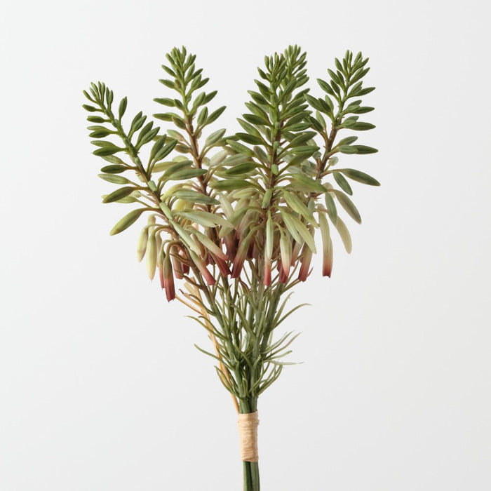 Artificial Agave Flowering Bundle 30cm Green Eggplant - Pack of 6 - FLORA DESIGNS