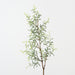 Artificial Senecio Spray 76cm Green - Pack of 12 - FLORA DESIGNS
