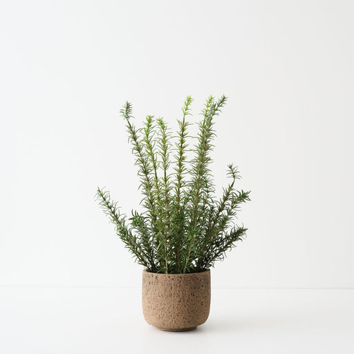 Artificial Rosemary Plant 45cm Green - FLORA DESIGNS