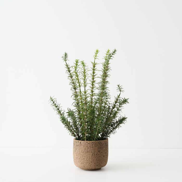 Artificial Rosemary Plant 45cm Green - FLORA DESIGNS
