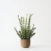 Artificial Rosemary Plant 45cm Green - FLORA DESIGNS