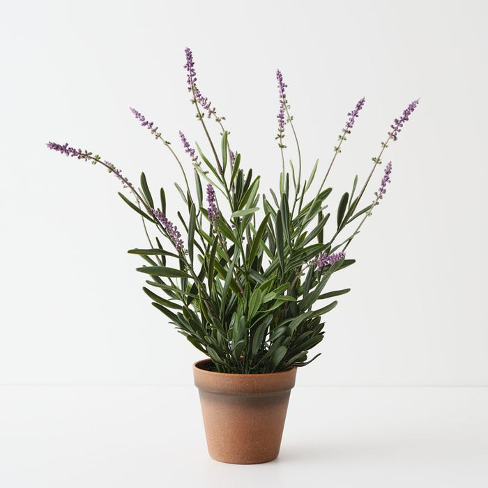 Artificial Lavender Plant 43cm Lilac - Pack of 4 - FLORA DESIGNS