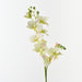 Artificial Phalaenopsis Orchid 84cm Light Green - Pack of 12 - FLORA DESIGNS