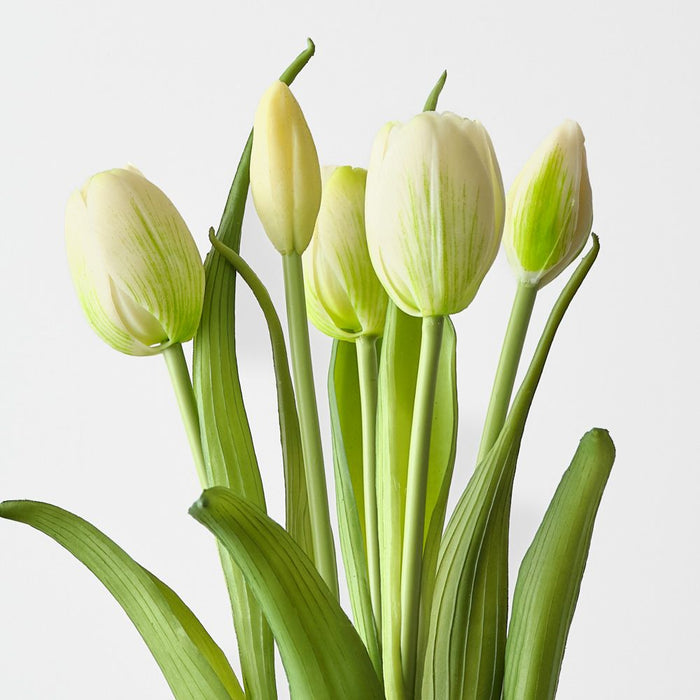 Artificial Tulip Bundle 41cm Cream Green - Pack of 6 - FLORA DESIGNS