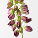 Artificial Lupine Spray 70cm Eggplant Green - Pack of 12 - FLORA DESIGNS