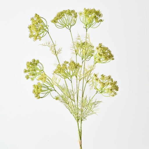 Artificial Queen Annes Lace Bundle 89cm Green - Pack of 12 - FLORA DESIGNS