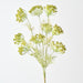 Artificial Queen Annes Lace Bundle 89cm Green - Pack of 12 - FLORA DESIGNS