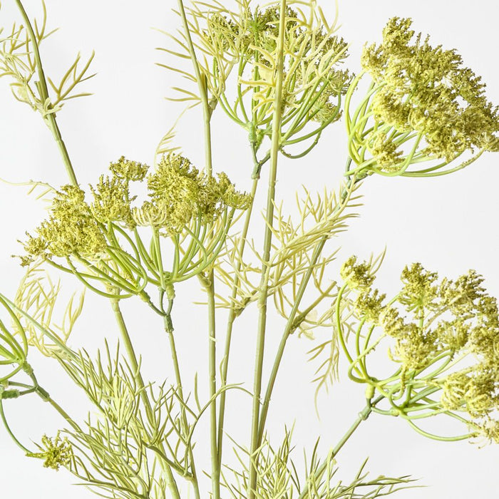 Artificial Queen Annes Lace Bundle 89cm Green - Pack of 12 - FLORA DESIGNS