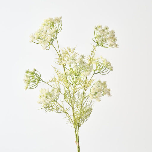 Artificial Queen Annes Lace Bundle 89cm White - Pack of 6 - FLORA DESIGNS